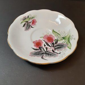 Queen Anne Fine Bone China Saucer Made In England Pink Black Orchids